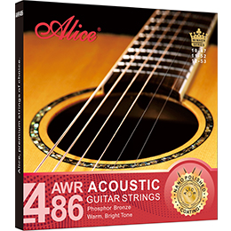 AW4112 12-String Acoustic Guitar Strings, Plated High Carbon Steel Plain String, 80/20 Bronze Winding, Nano Polished Coating